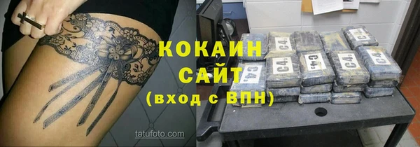 прущие грибы Алексеевка