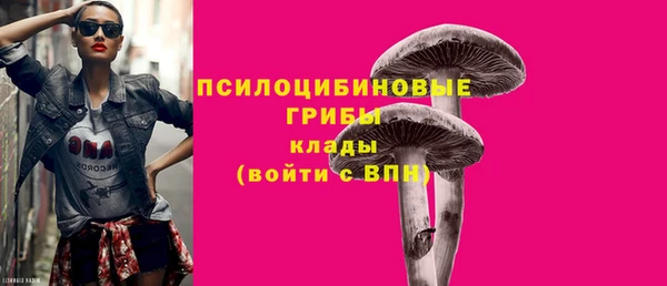 герыч Анжеро-Судженск